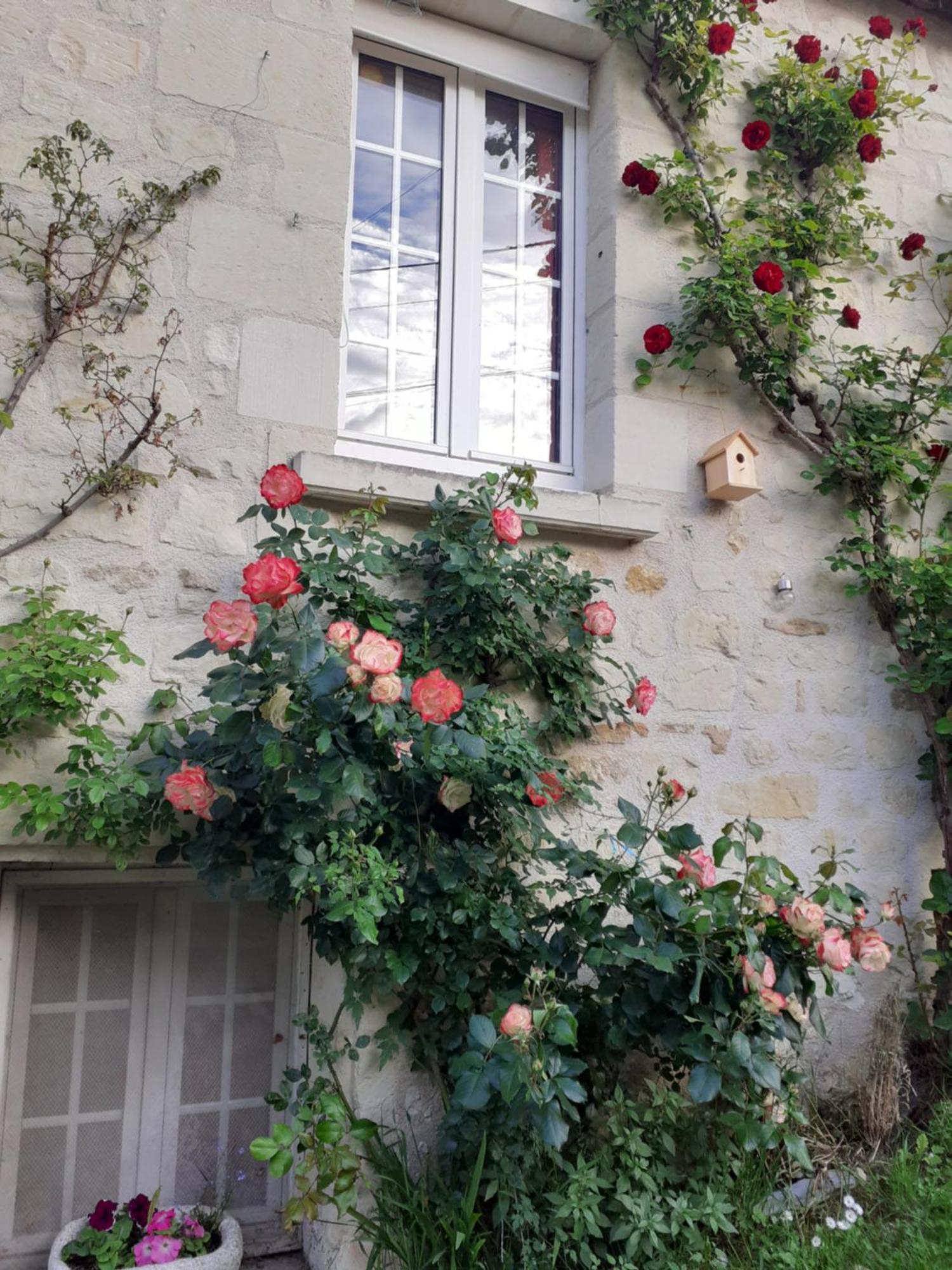 Vila Esprit Troglo Beaumont-en-Véron Exteriér fotografie